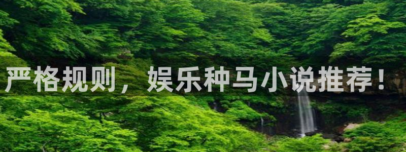 星辉平台娱乐：严格规则，娱乐种马小说推荐！