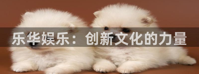 星辉平台3官网：乐华娱乐：创新文化的力量