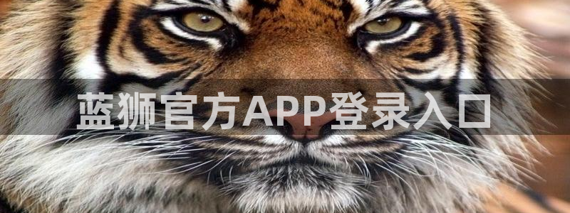 星辉平台平台官方入口：蓝狮官方APP登录入口