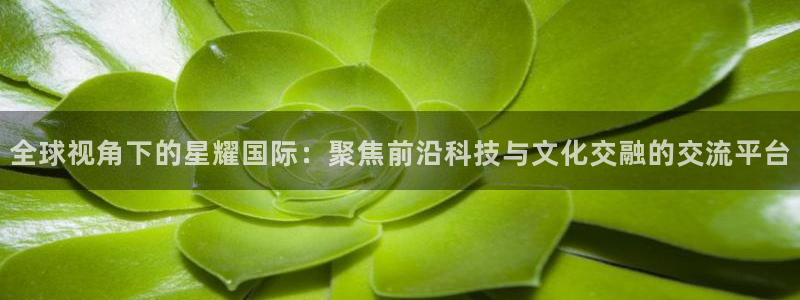 星辉平台app哪个模式容易赢：全球视角下的星耀国际：聚焦前沿科技与文化交融的交流