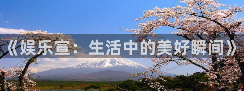 星辉平台2登录：《娱乐宣：生活中的美好瞬间》