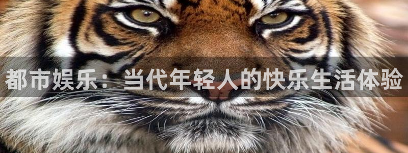 星辉平台体育2官网入口：都市娱乐：当代年轻人的快乐生活体验