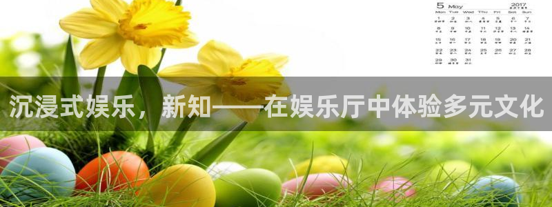 星辉平台ccmpc：沉浸式娱乐，新知——在娱乐厅中体验多元文化