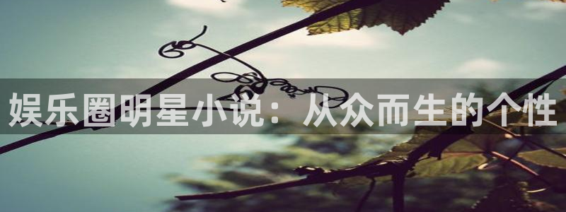星辉平台体育免费注册入口：娱乐圈明星小说：从众而生的个性