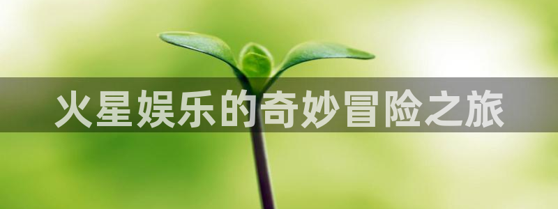 星辉平台平台官网登录入口：火星娱乐的奇妙冒险之旅