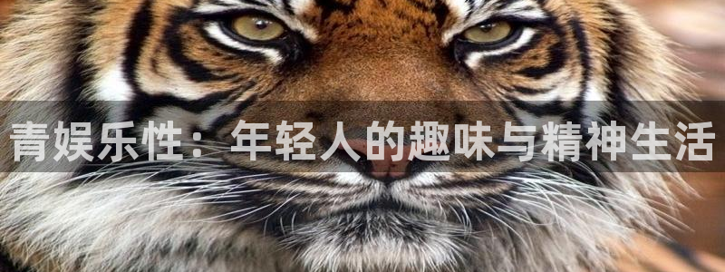 星辉平台.ccmpc登录：青娱乐性：年轻人的趣味与精神生活
