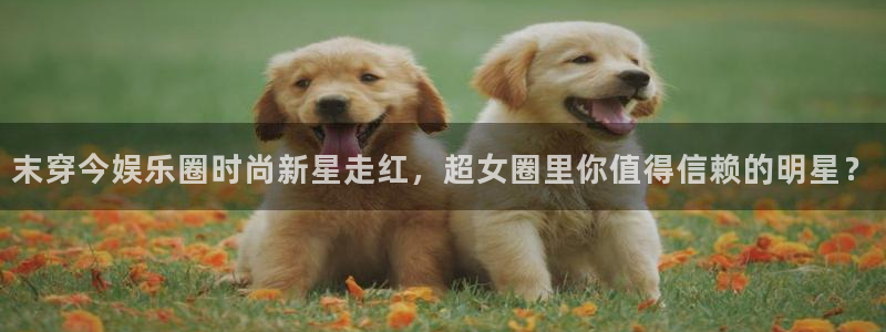 星辉平台平台最新版本下载：末穿今娱乐圈时尚新星走红，超女圈里你值得信赖的明星？