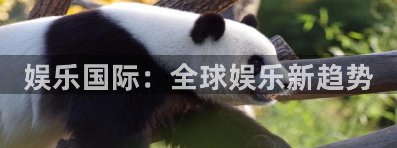 星辉平台体育凯捷平台招商：娱乐国际：全球娱乐新趋势