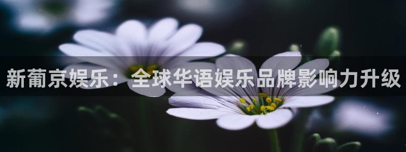 星辉平台体育平台注册：新葡京娱乐：全球华语娱乐品牌影响力升级