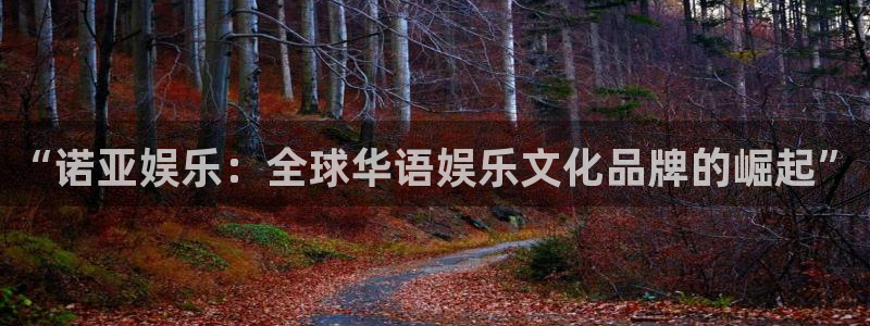 星辉平台体育代理：“诺亚娱乐：全球华语娱乐文化品牌的崛起”