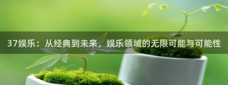 星辉平台怎么下载：37娱乐：从经典到未来，娱乐领域的无限可能与可能性