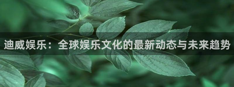 星辉平台平台官网入口