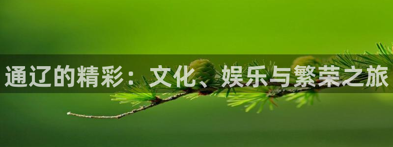 星辉平台体育注册登录入口：通辽的精彩：文化、娱乐与繁荣之旅