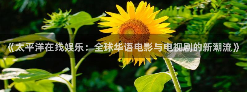 星辉平台体育论坛