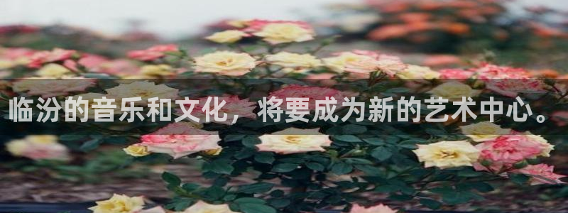 星辉平台2代理注册：临汾的音乐和文化，将要成为新的艺术中心。