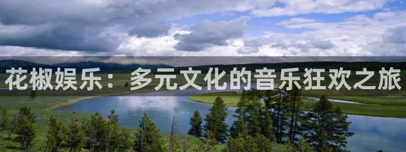 电子游戏星辉平台：花椒娱乐：多元文化的音乐狂欢之旅