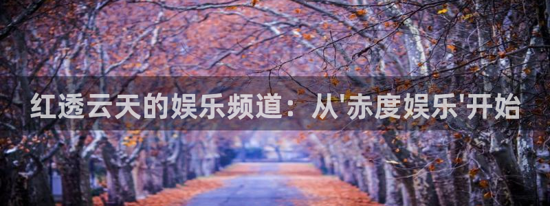 星辉平台2平台：红透云天的娱乐频道：从\'赤度娱乐\'开始