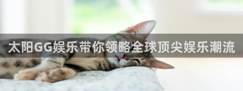 星辉平台招商：太阳GG娱乐带你领略全球顶尖娱乐潮流