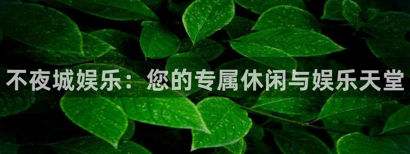 星辉平台体育游戏：不夜城娱乐：您的专属休闲与娱乐天堂