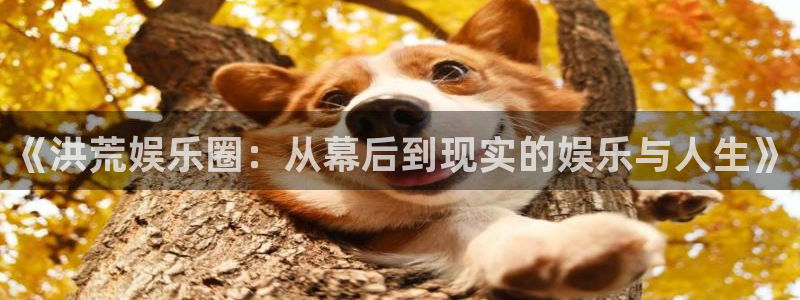 星辉平台体育网页版入口：《洪荒娱乐圈：从幕后到现实的娱乐与人生》
