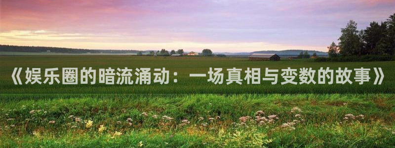 星辉平台体育凯捷代理注册：《娱乐圈的暗流涌动：一场真相与变数的故事》