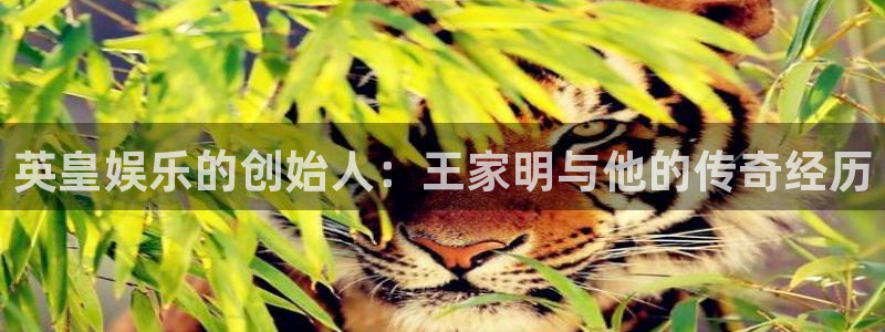 星辉平台.com：英皇娱乐的创始人：王家明与他的传奇经历