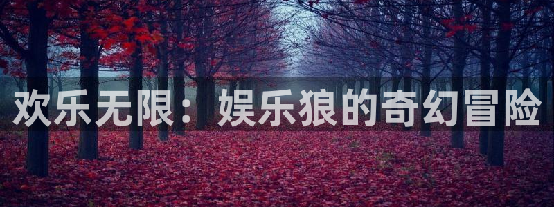 星辉平台2平台：欢乐无限：娱乐狼的奇幻冒险
