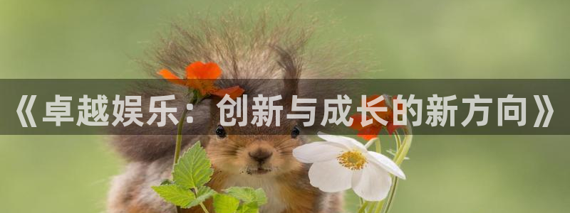 星辉平台电子有限公司：《卓越娱乐：创新与成长的新方向》