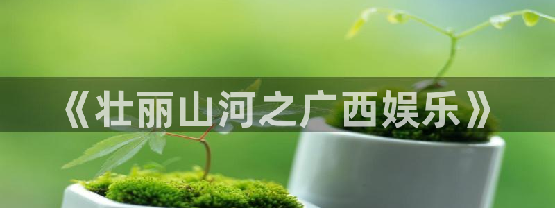 星辉平台4：《壮丽山河之广西娱乐》