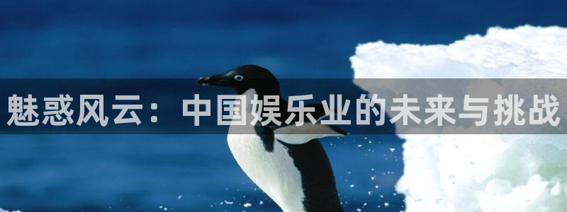 星辉平台登录：魅惑风云：中国娱乐业的未来与挑战