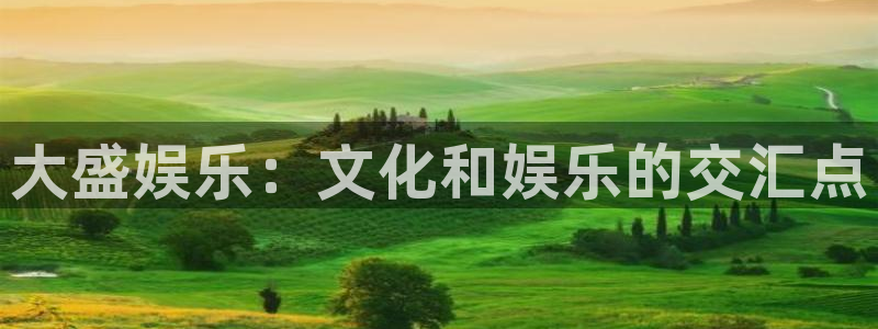 星辉平台app新版上线体验.游戏更新入口.中国