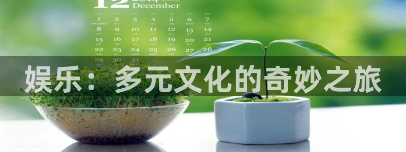 星辉平台注册链接：娱乐：多元文化的奇妙之旅
