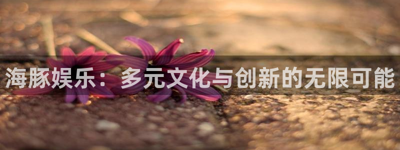 星辉平台vip麻将胡了