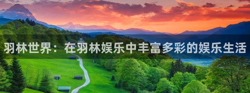 星辉平台2体育