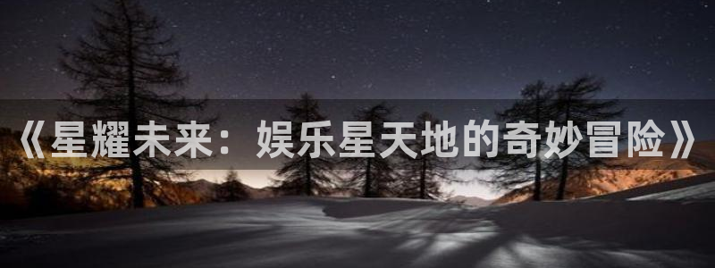 德国星辉平台集团：《星耀未来：娱乐星天地的奇妙冒险》