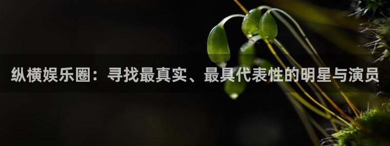 南宫星辉平台：纵横娱乐圈：寻找最真实、最具代表性的明星与演员
