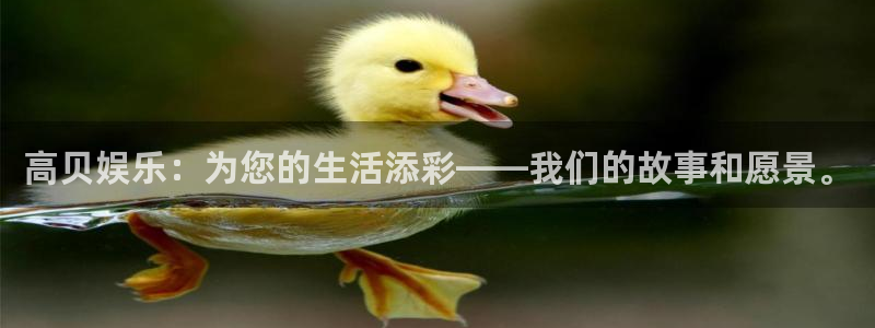 星辉平台登陆：高贝娱乐：为您的生活添彩——我们的故事和愿景。