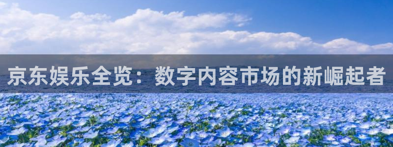 星辉平台官网