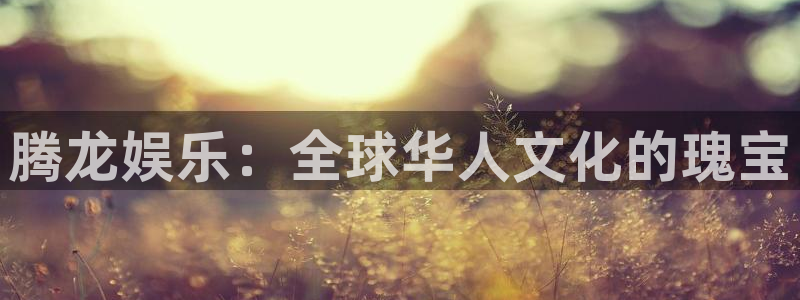 星辉平台是正规平台吗：腾龙娱乐：全球华人文化的瑰宝
