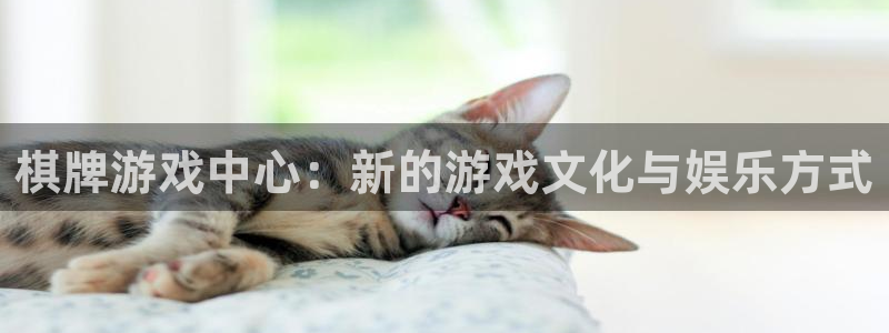 星辉平台app新版上线体验.游戏更新入口.中国：棋牌游戏中心：新的游戏文化与娱乐方式