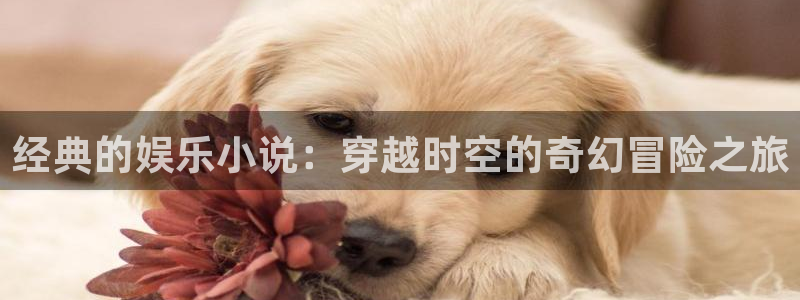 星辉平台：经典的娱乐小说：穿越时空的奇幻冒险之旅