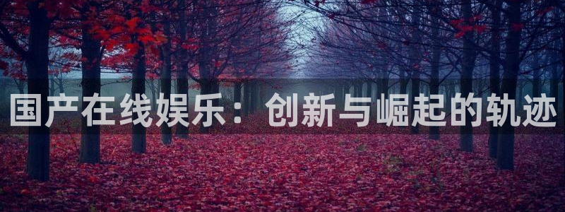 星辉平台2登录地址：国产在线娱乐：创新与崛起的轨迹