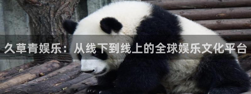 电子游戏星辉平台：久草青娱乐：从线下到线上的全球娱乐文化平台