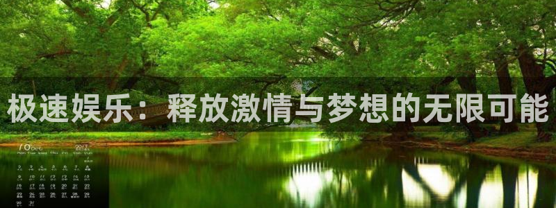星辉平台是什么：极速娱乐：释放激情与梦想的无限可能